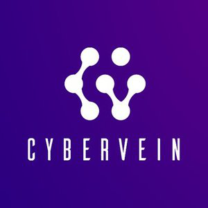 CyberVein icon